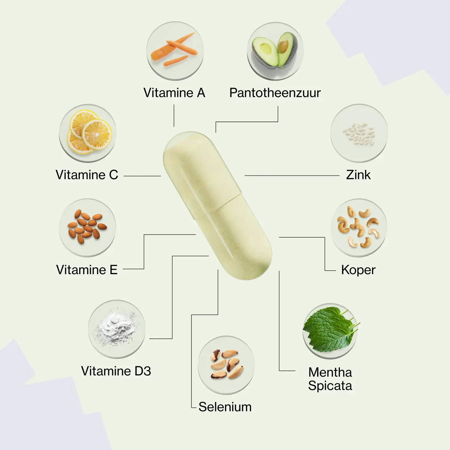 De 4 voedingstekorten die je huid mist — zink, vitamine A, vitamine B5 en Mentha spicata in het Cloudless Clear+ supplement